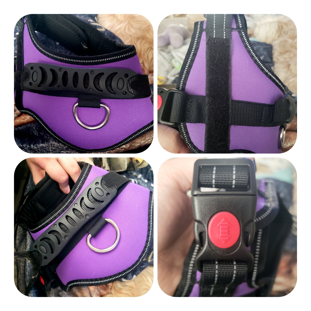 Purple No-Pull Dog Harness with Reflective Stitching